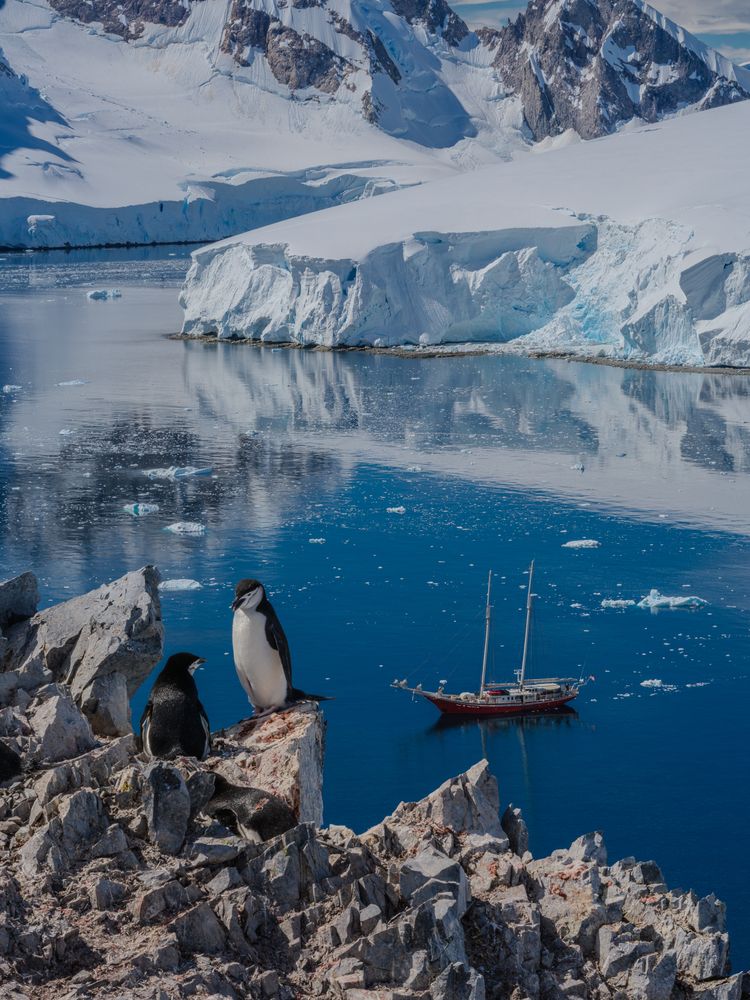 Фотография автора Igor Galloway