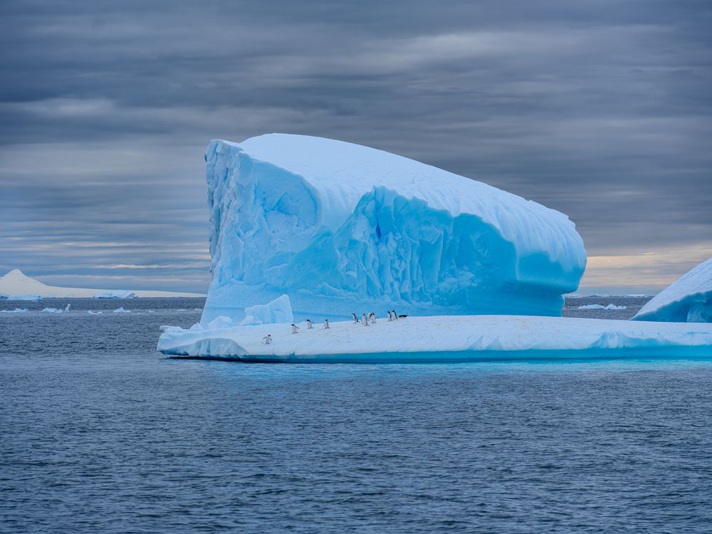 Photograph by Igor Galloway