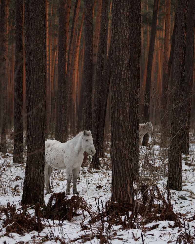 Photograph by Aleksey Rukin