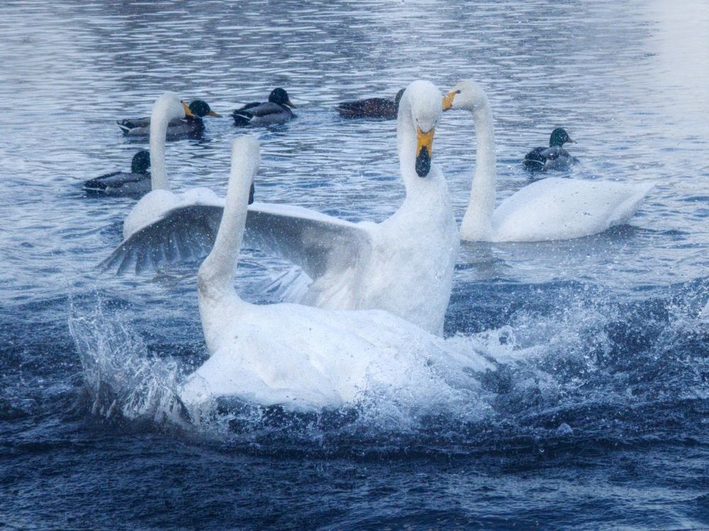 Photograph by Анна Семенова