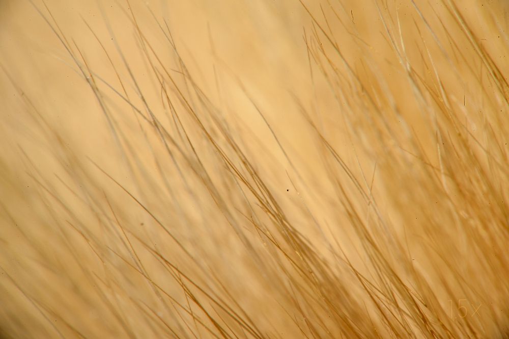 Photograph by Антон Демидов