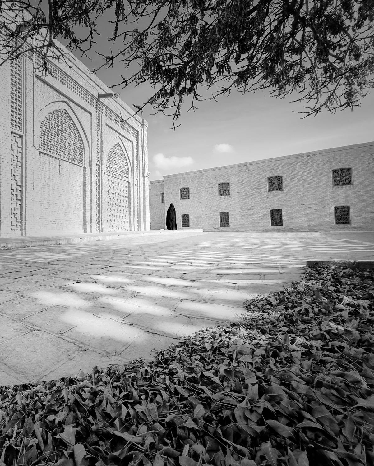 Where Silence Settled