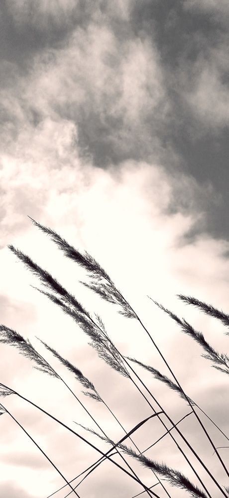 Photograph by Татьяна Устюжанина