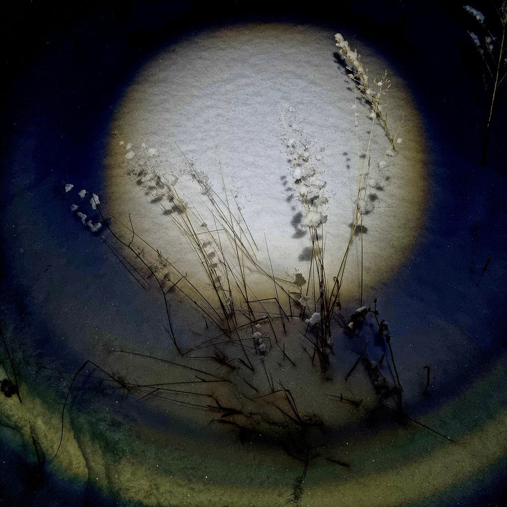 Photograph by Татьяна Устюжанина