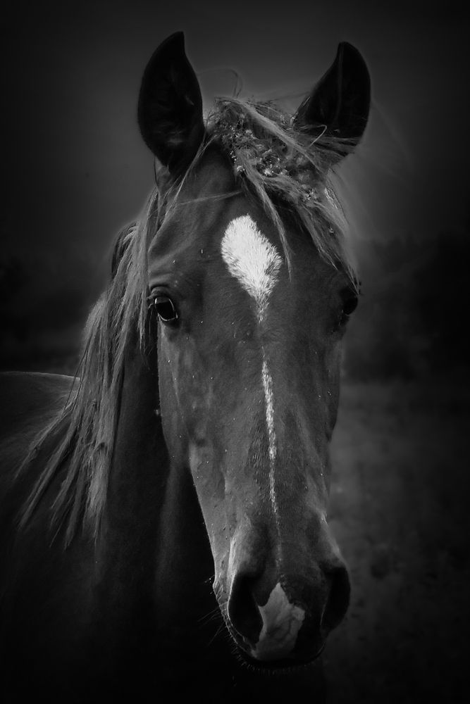 Photograph by Сергей Тельнюк