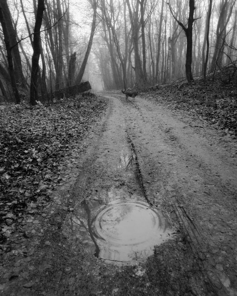 Photograph by Кондрашова Светлана