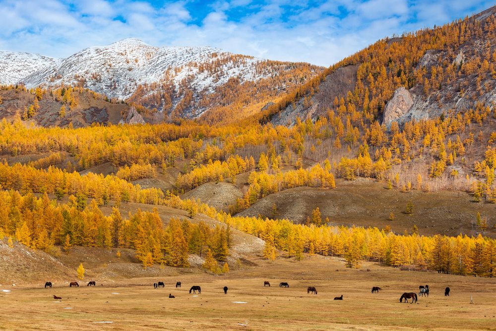 Photograph by Буянов Илья