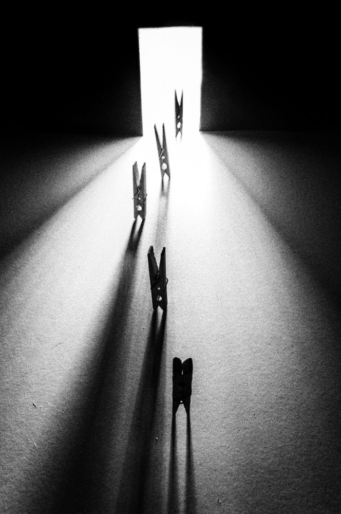 Photograph by Лофицкая Лариса