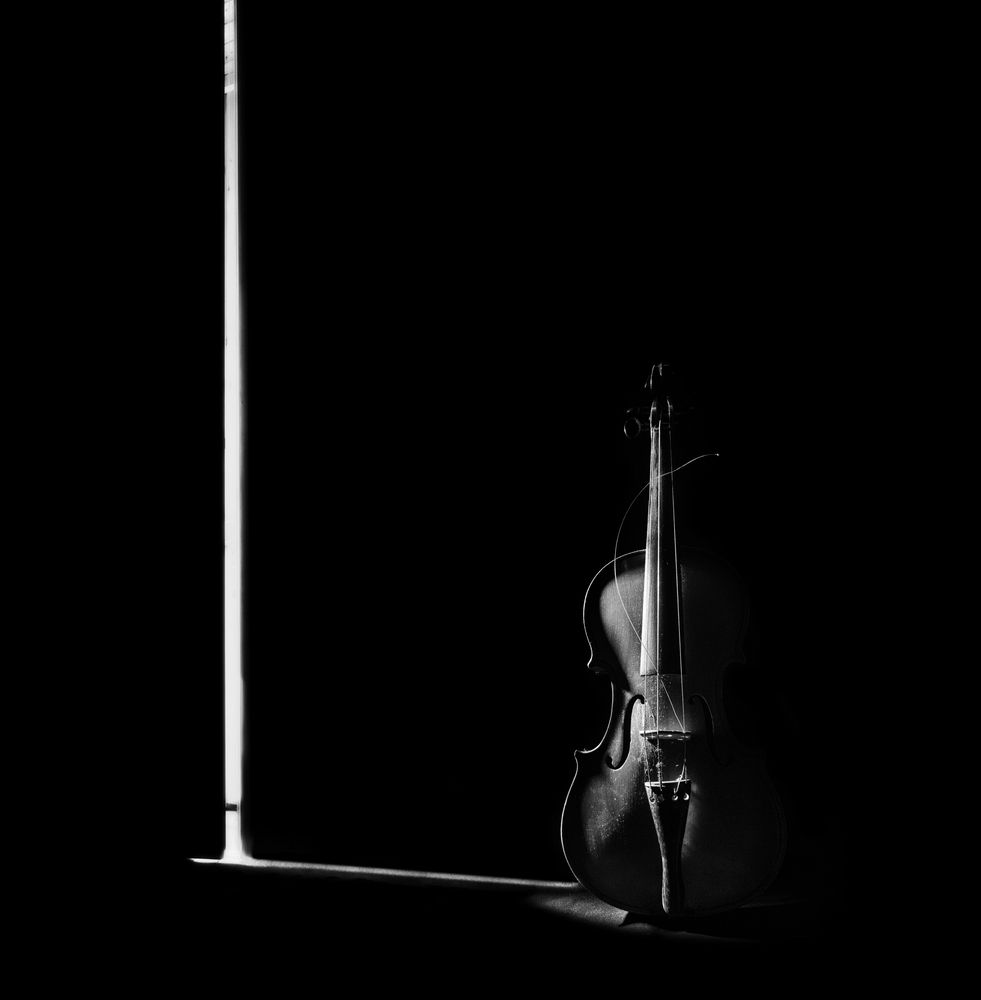 Photograph by Лофицкая Лариса