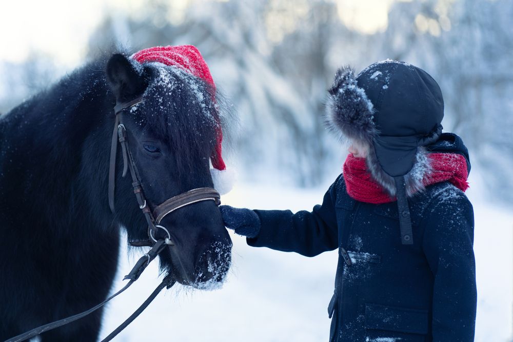 Photograph by Ирина Бабинцева