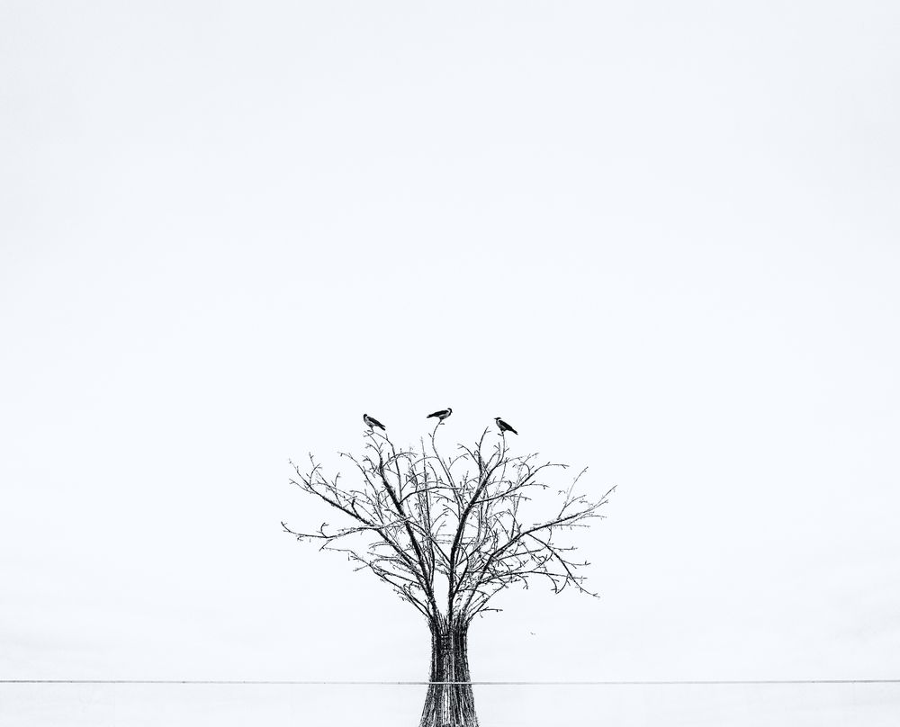 Photograph by Лофицкая Лариса