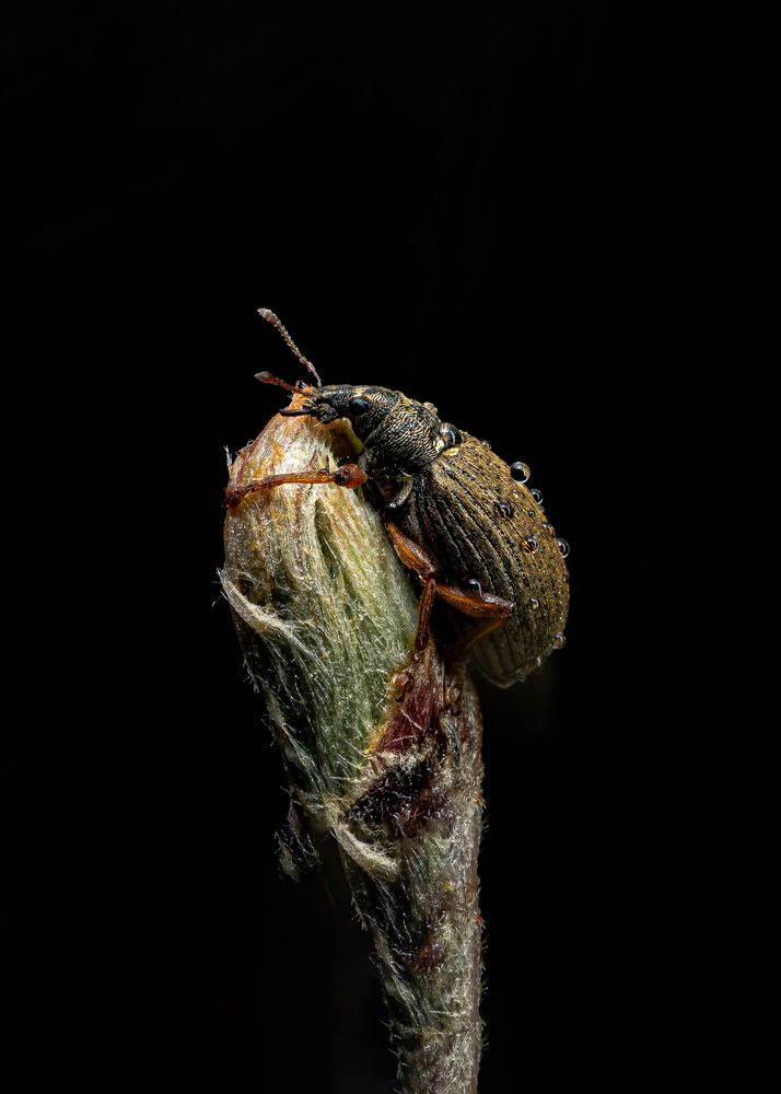 Photograph by Максим Колосов