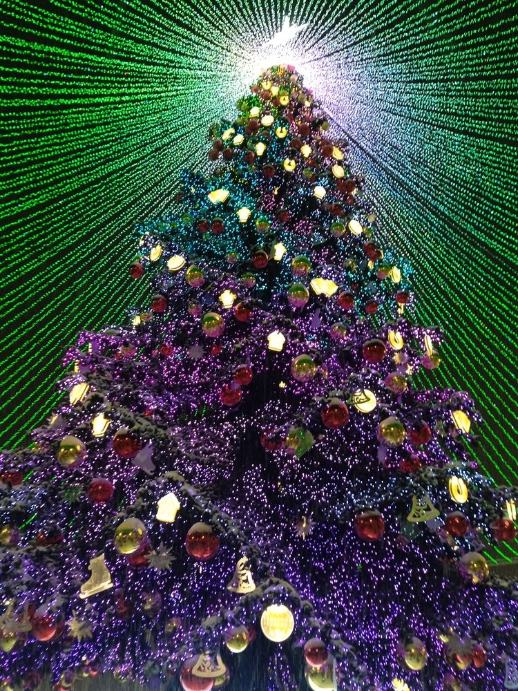 Photograph by Светлана