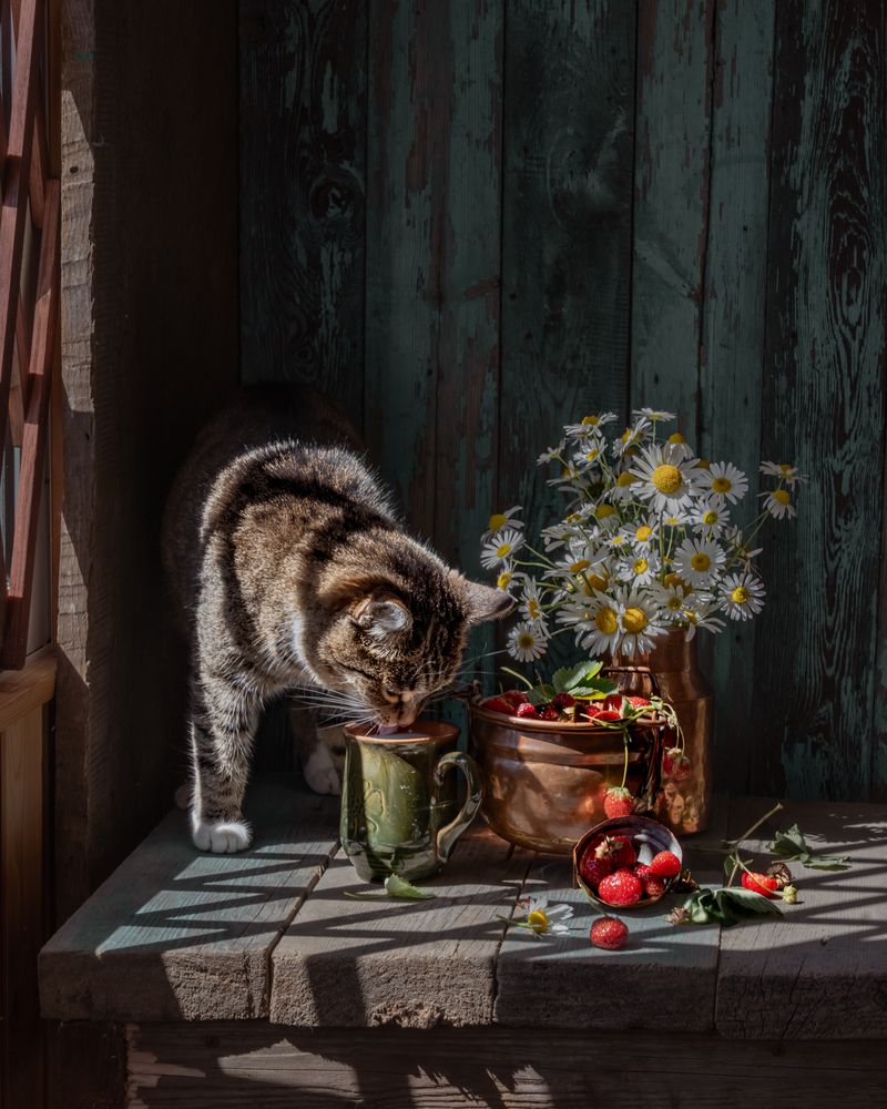 Теплое молоко