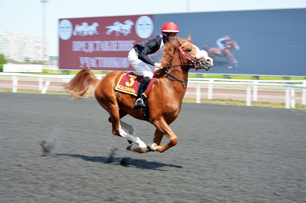 Photograph by Андрей Ушаков