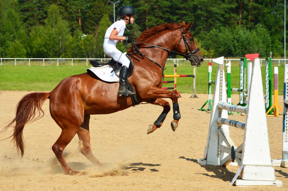 Photograph by Андрей Ушаков