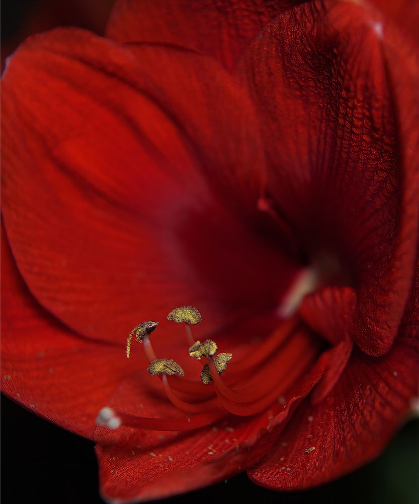 Photograph by Андрей Неденко