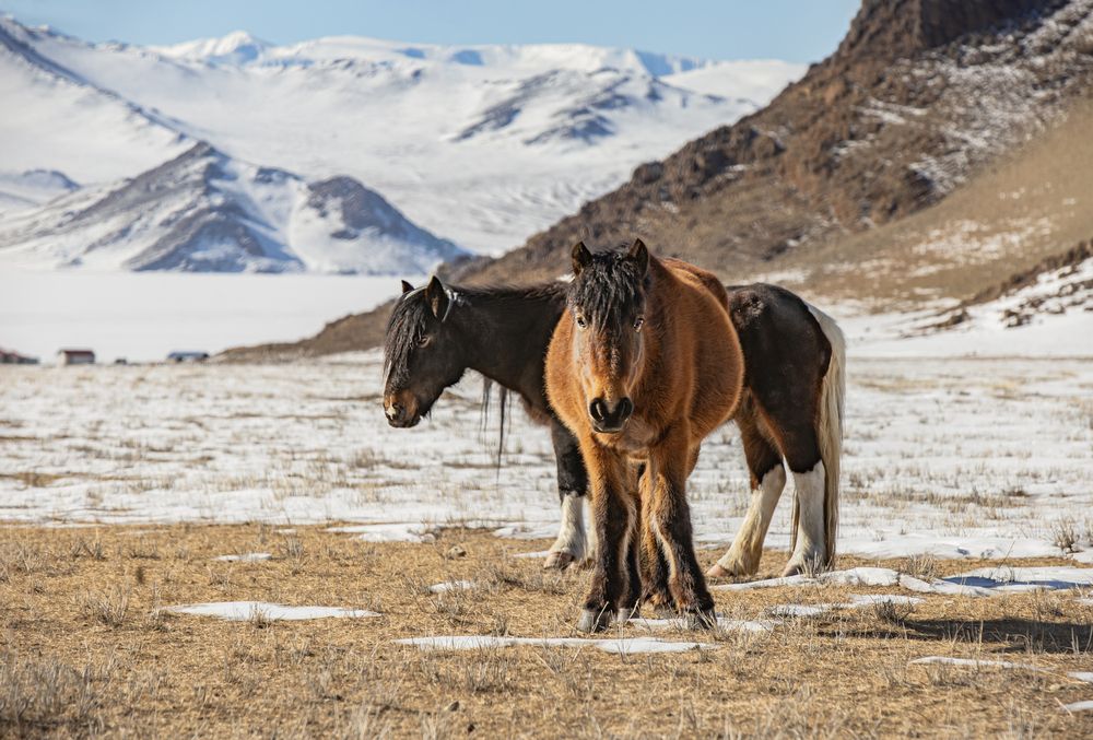 Фотография автора Елена Павлова