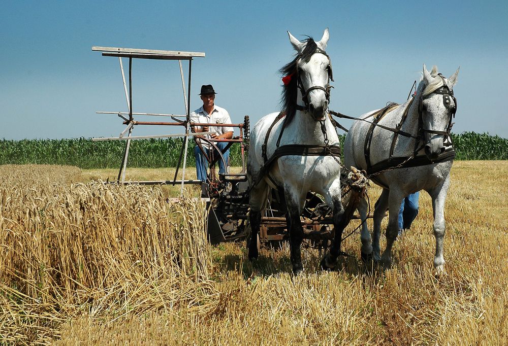 Photograph by Pancic Ivan