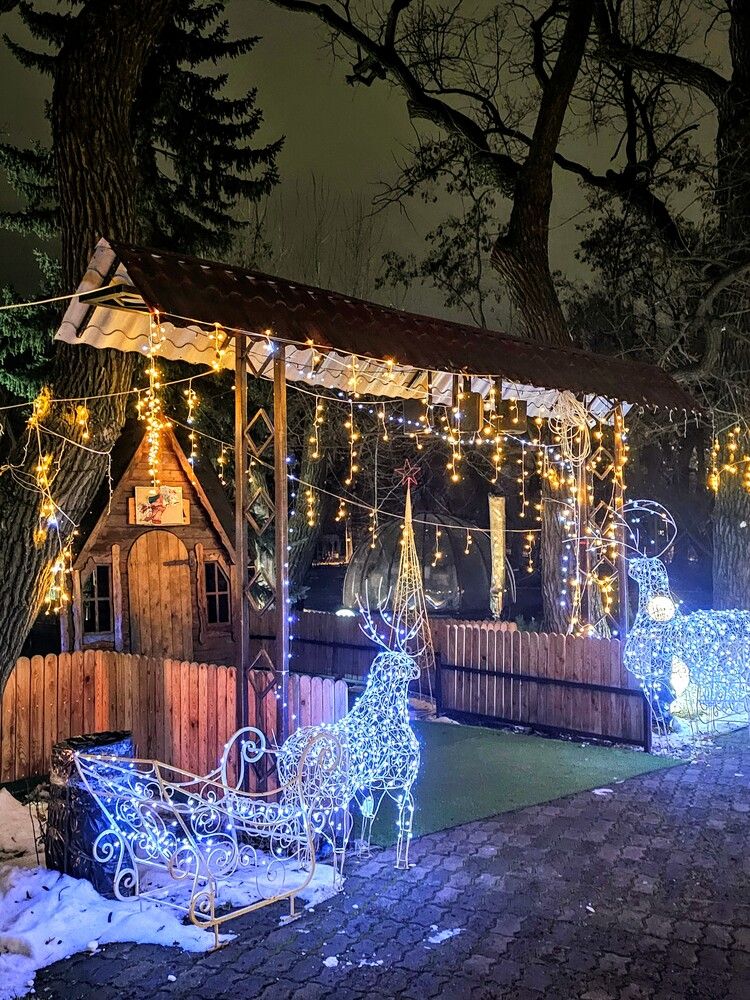 Photograph by Людмила Локтионова