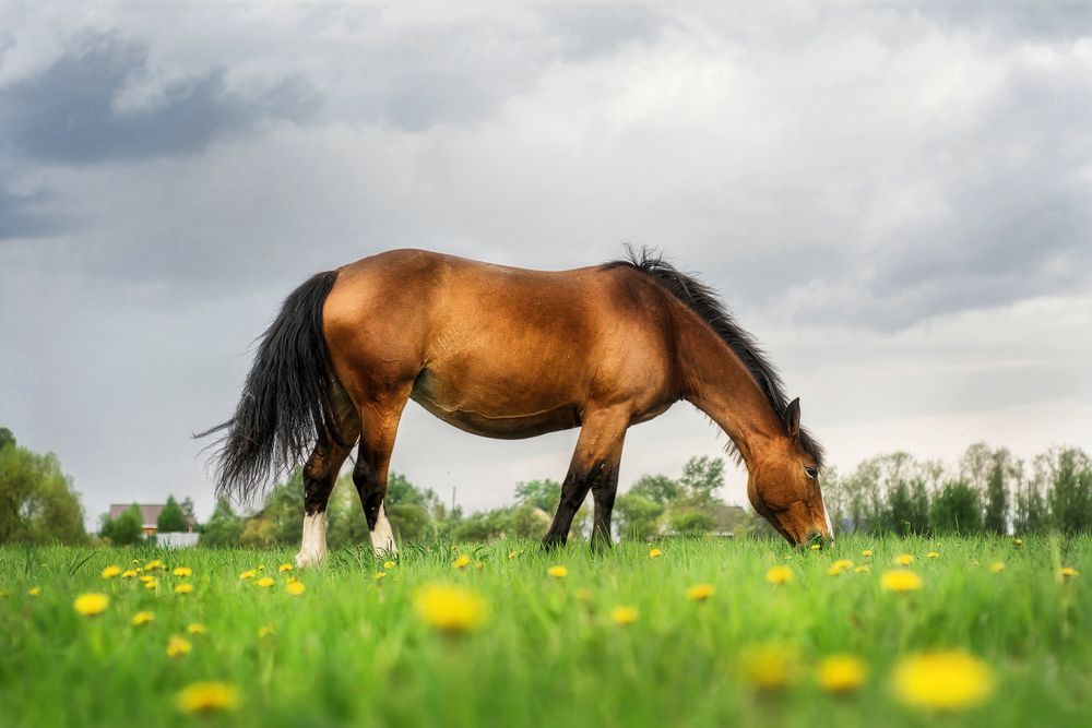 Photograph by Елена Соколова