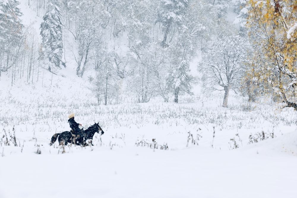 В горах Кавказа