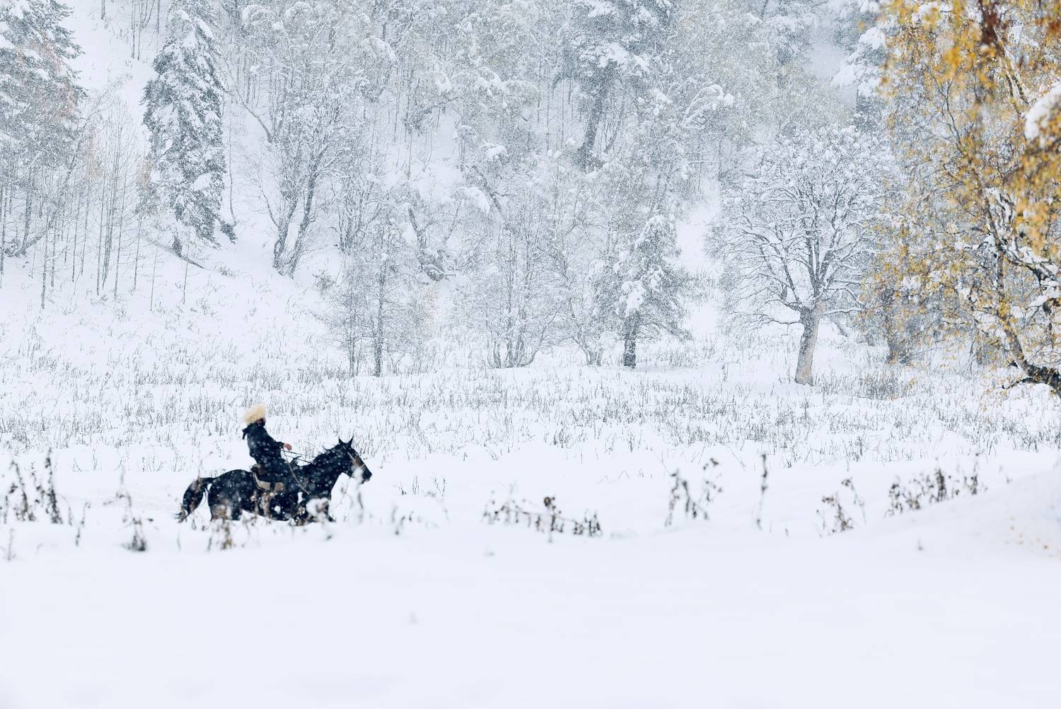 В горах Кавказа