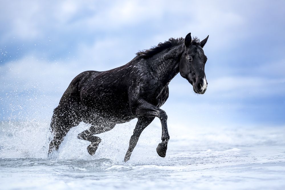 Photograph by Alessandro Grandoni