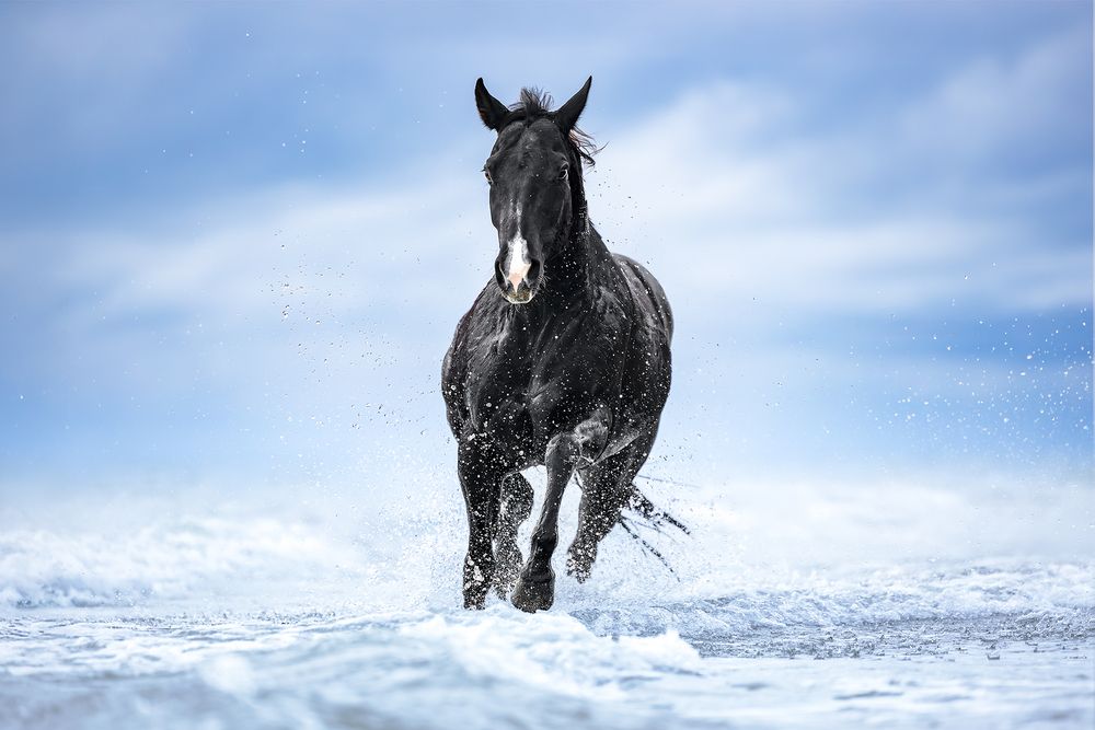 Photograph by Alessandro Grandoni