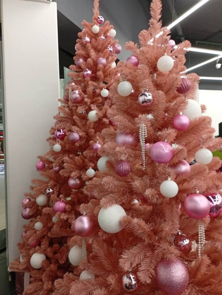 Photograph by Luiza Femin