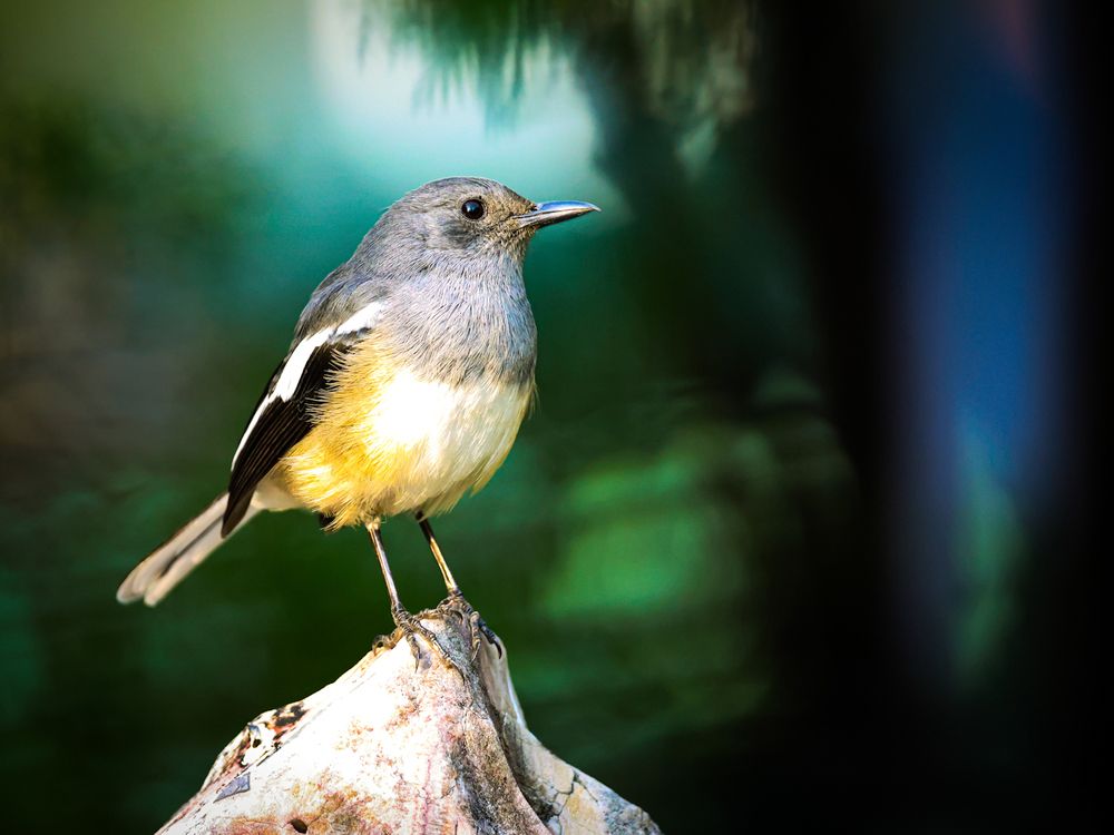 Photograph by WONG ADVENTURE