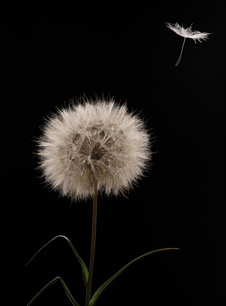 Фотография автора Роман Москвичев