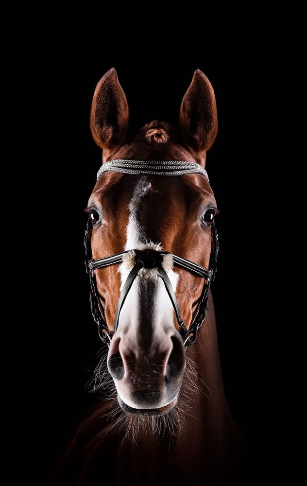 Photograph by Lenka Šilhová