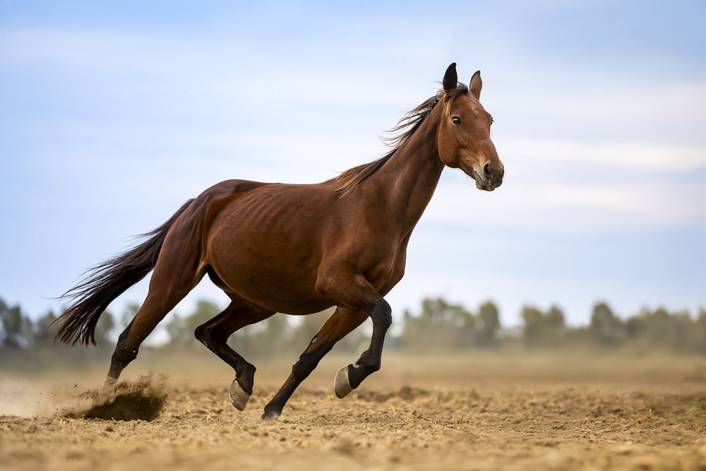 Photograph by Alessandro Grandoni