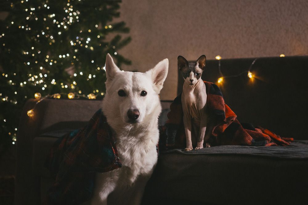 Фотография автора Марина Дятлова