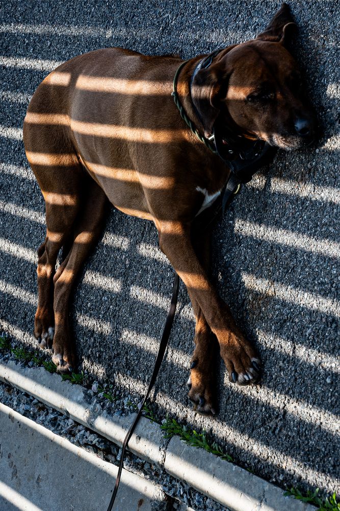 Photograph by Егор Поленов