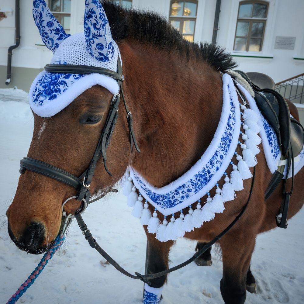 Фотография автора Владимир Парсяк