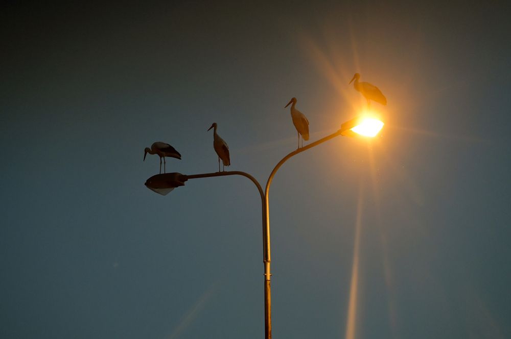 Photograph by MIHALIS KONSTANDINIDIS