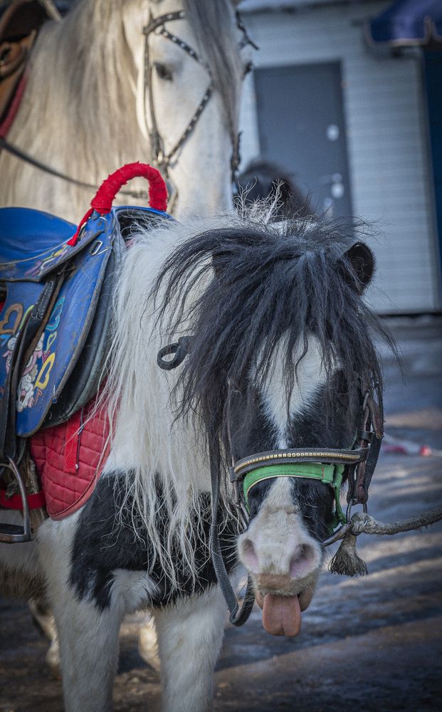 Photograph by Егор Поленов