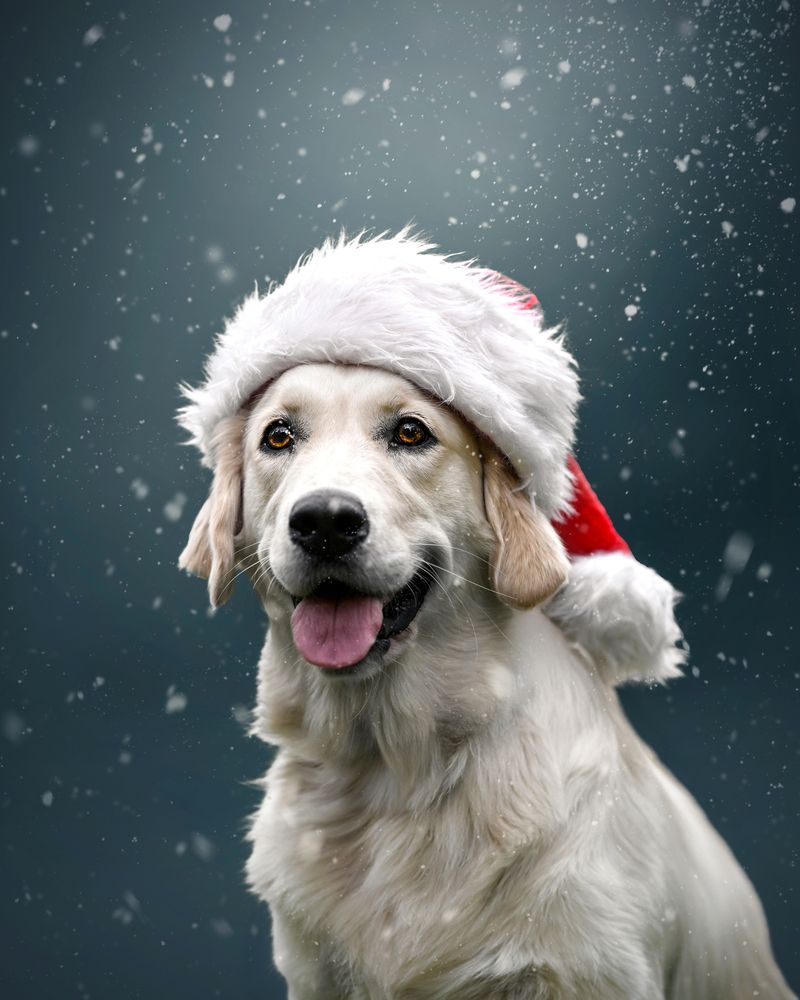 Photograph by Lucie Nermuťová