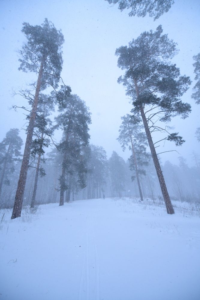 Photograph by Алексей Volg