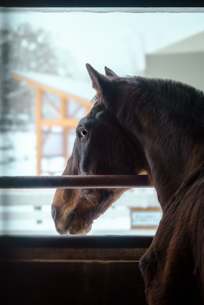 Photograph by kurodon