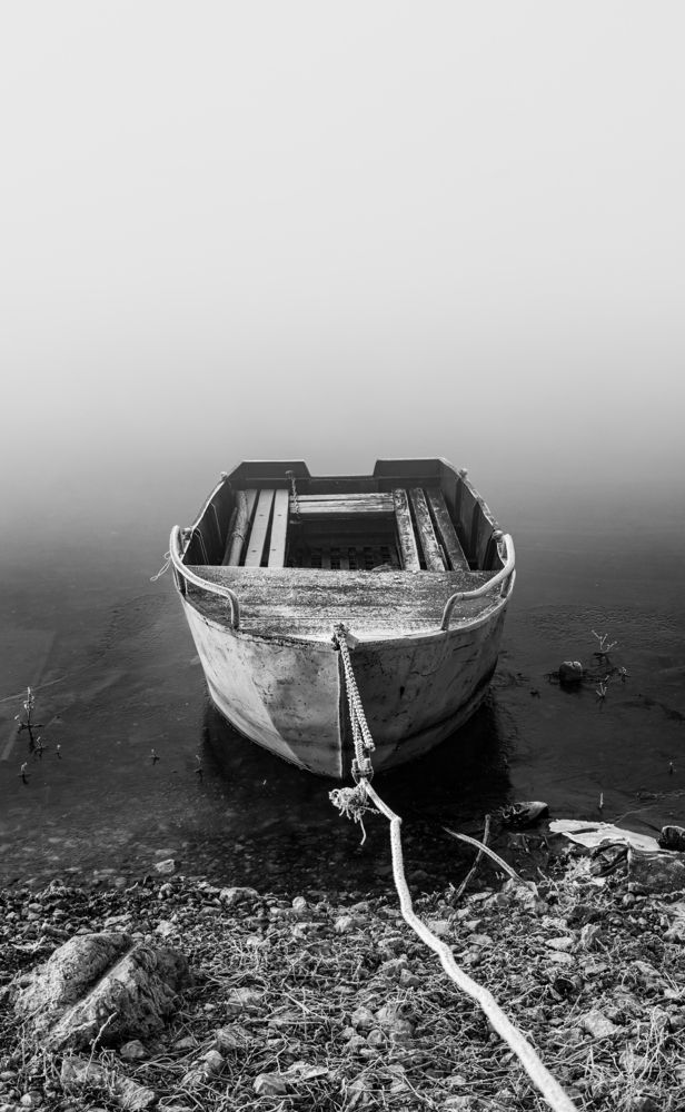 Фотография автора Damir B.
