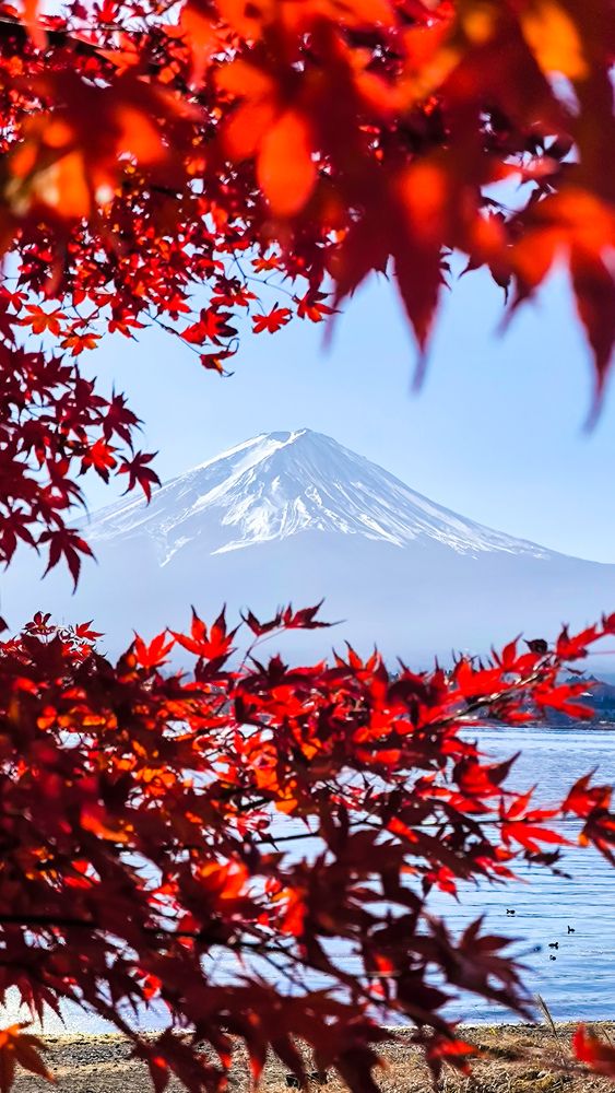 Mt.Fuji