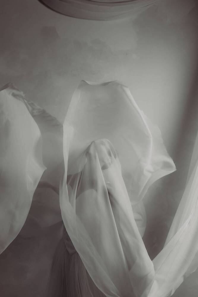 Wings of Silence