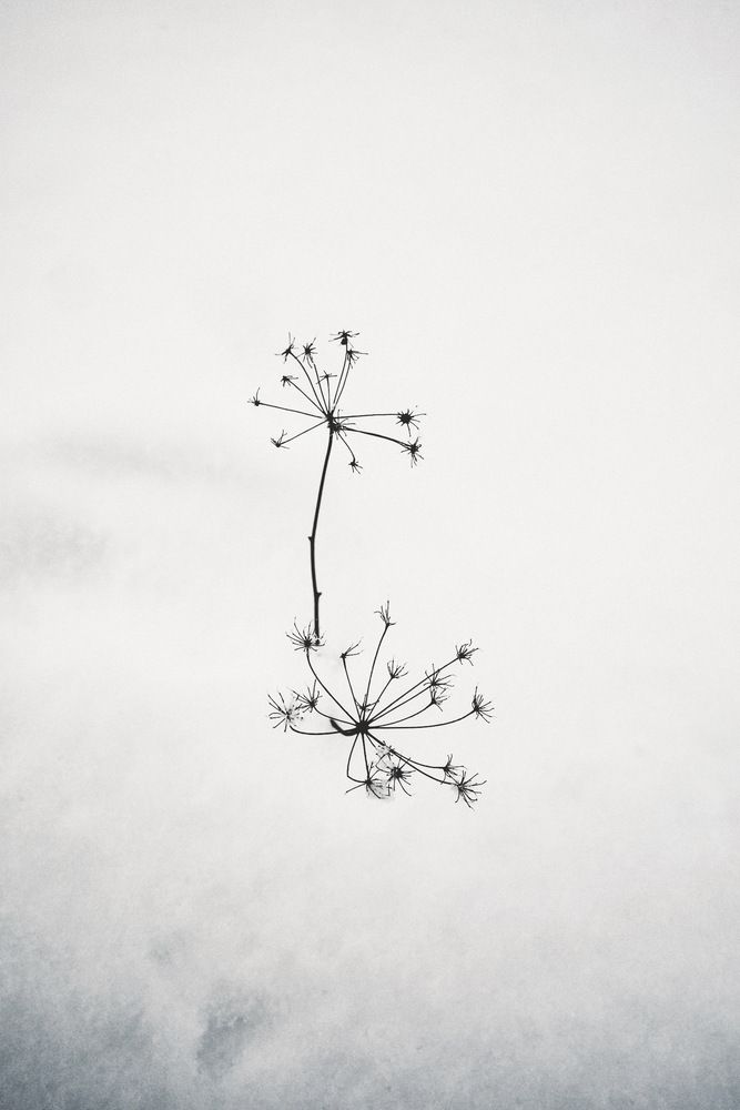 Photograph by Диана Минабутдинова