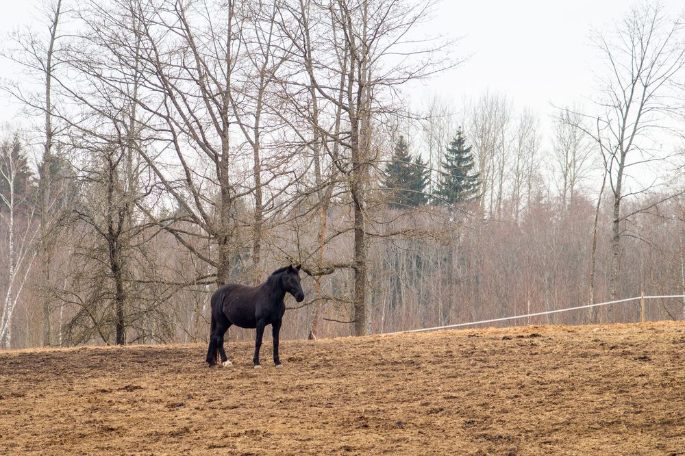 Photograph by Нина Шкляр