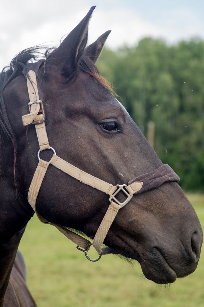 Photograph by Нина Шкляр