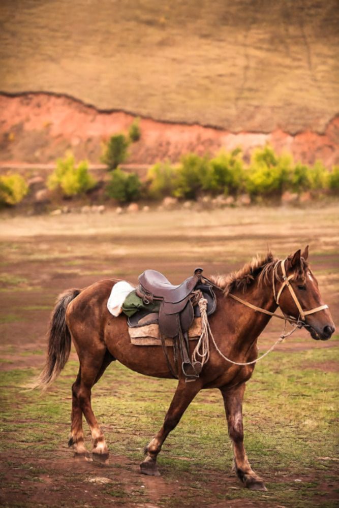 Photograph by Наталья Николаевна