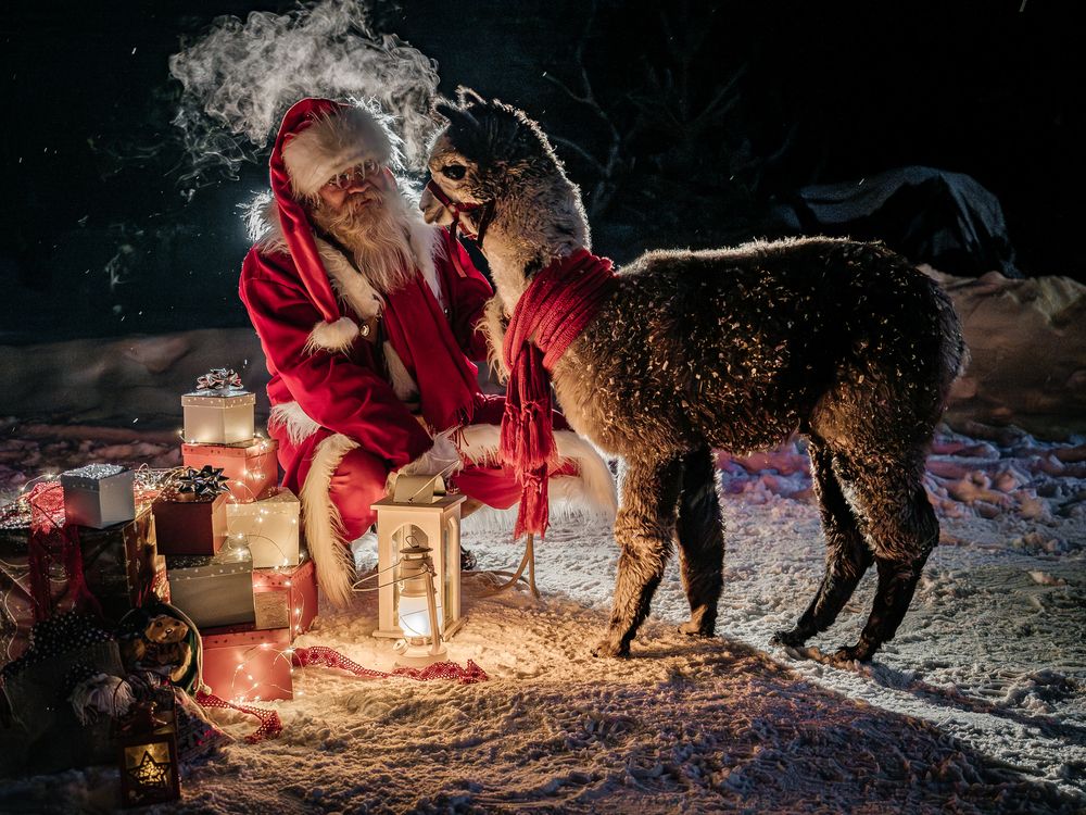 Photograph by Olga Link